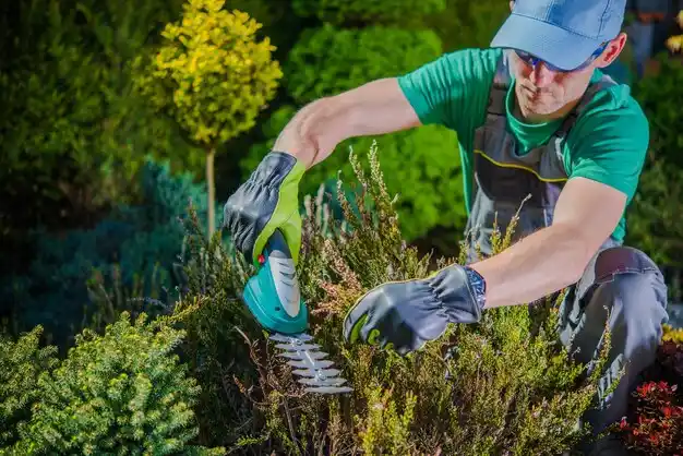 landscaping services Alma
